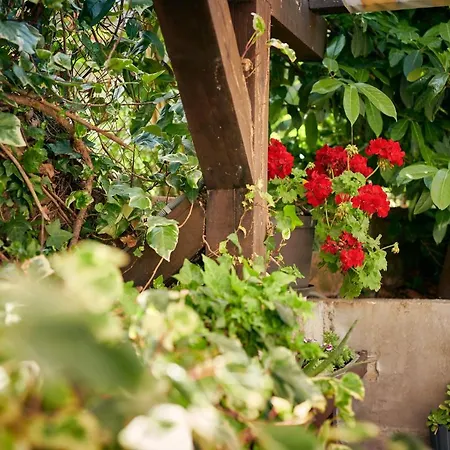 아파트 Sea View House