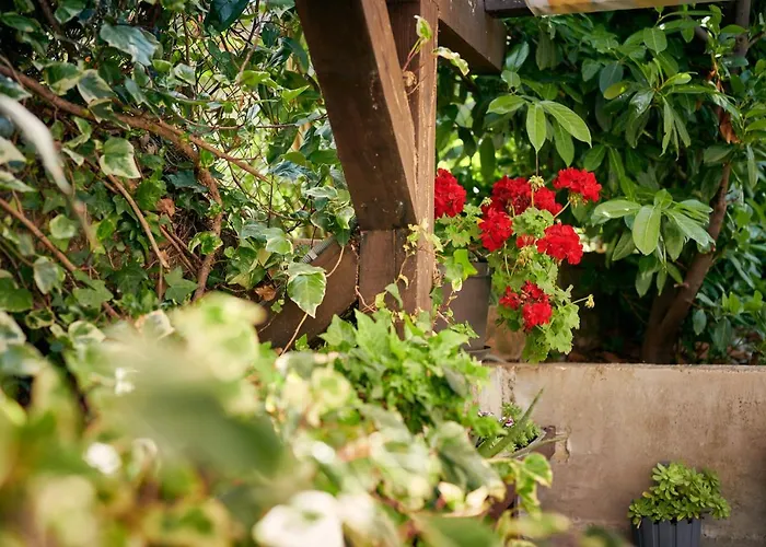 Apartament Sea View House